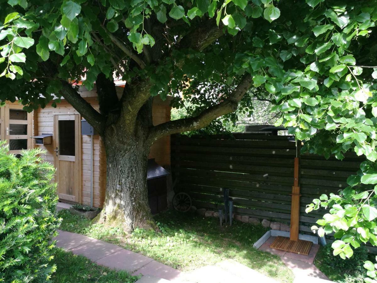 Ferienhaus Glucksmoment Grasellenbach Buitenkant foto
